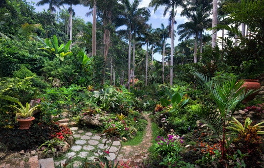 Hunte's Gardens, Barbados - in October 2014 (photo Derek Galon)